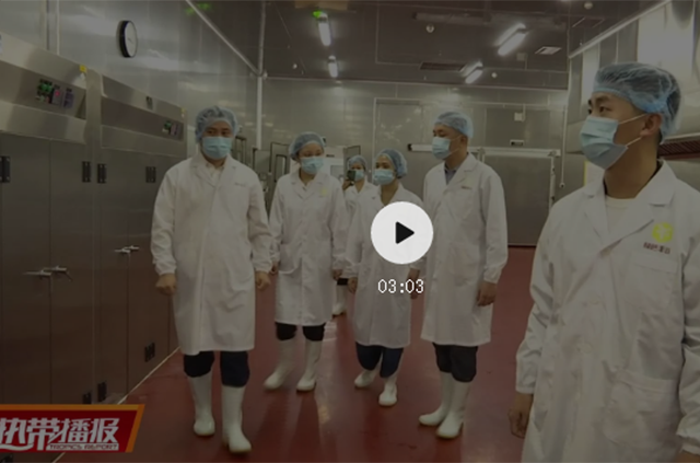 綠色豐谷中央廚房迎來(lái)高光時(shí)刻